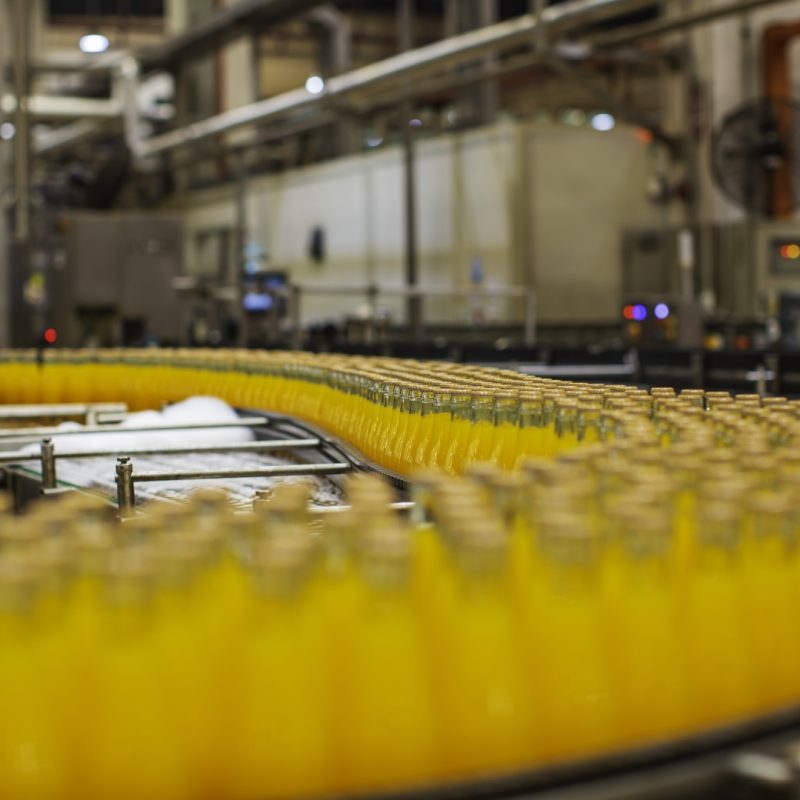 ISO 22000 : 2018 Temel Eğitimi